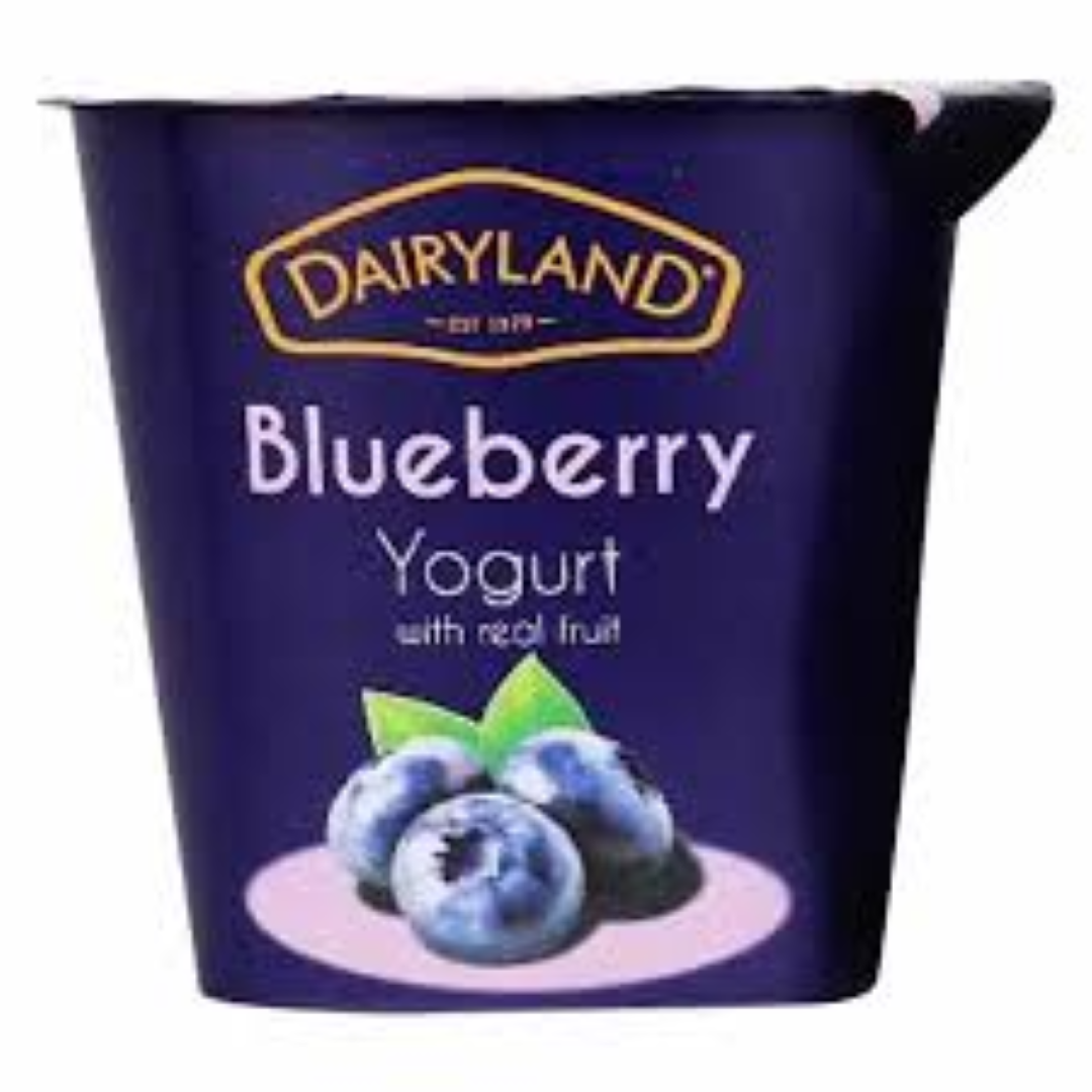 DAIRYLAND YOG BLUEBERRY 150G